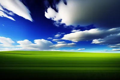 My friends and I recreated the Windows XP wallpaper : r/windows