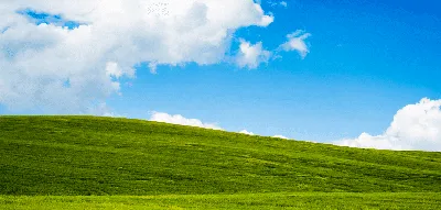 Nostalgic wallpaper inspired by windows xp on Craiyon