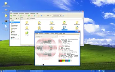 Man finds exact location of infamous Windows XP background