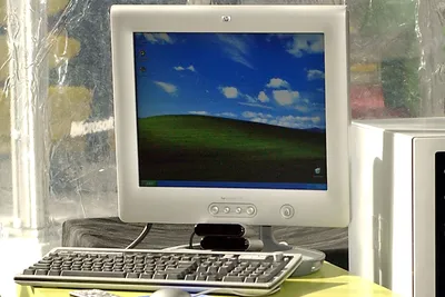 The Windows XP wallpaper is now an 'ugly' sweater | PCWorld