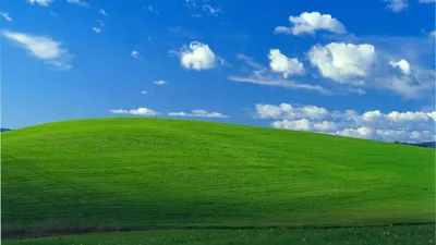 Windows XP wallpaper creator unveils stunning phone screensavers | London  Evening Standard | Evening Standard