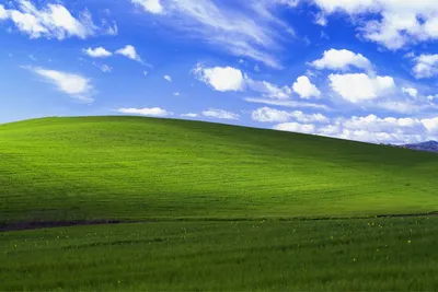 Ever wonder where the Windows XP default wallpaper came from?