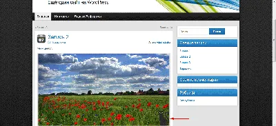 Wordpress водяной знак на картинку картинки