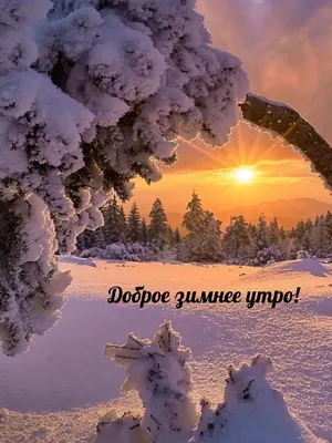 ДОБРОЕ УТРО! 🌞 ПОЗИТИВА 🍊🍎🍋 и главное ЗДОРОВЬЯ ! ❤😉💐😋❤ Улыбнись, и  весь мир улыбнется тебе в ответ! | Кофейные карточки, Доброе утро, Смешные  открытки