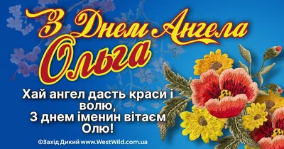 Привітання з днем Ольги 2022 — листівки, картинки, вірші та проза з  іменинами 23 листопада - Телеграф