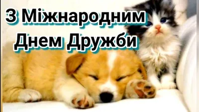 ЦНАП | Команда Центру надання адміністративних послуг щиро вітає Вас з  Міжнародним днем дружби!