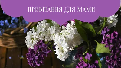 8 травня в Україні відзначається Свято Мами — День Матері. З цієї нагоди