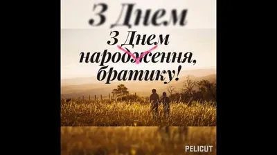 Поздравление с Днем рождения брату: своими словами, стихи для брата – Люкс  ФМ