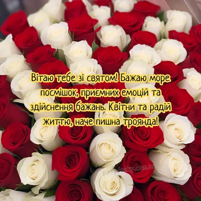 Привітання з днем народження жінці - картинки, листівки, привітання — УНІАН