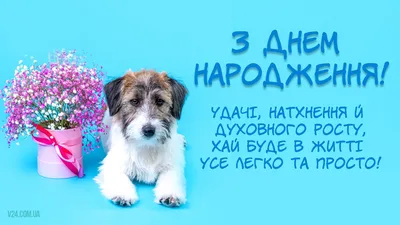 Прикольні привітання з днем народження начальниці — картинки, листівки,  проза та вірші - Телеграф