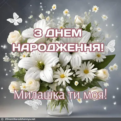 Привітання з днем народження: у віршах, прозі і картинках для чоловіків і  жінок — Укрaїнa