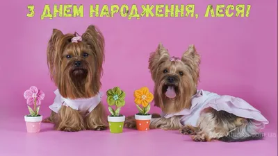 Pin by Nadya Volosyanko on Народження | Happy birthday pictures, Happy  birthday photos, Happy 2nd birthday