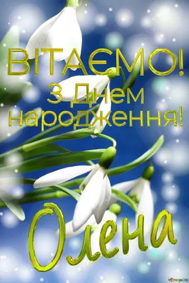 Вітаємо з Днем Народження Гребнєву Олену Петрівну! | Науково-дослідний  інститут травматології та ортопедії