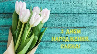 Олена З Днем народження! Free Image - 4049