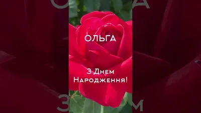 Привітання на День ангела Ольги 2022 у прозі: побажання своїми словами -  Радіо Незламних