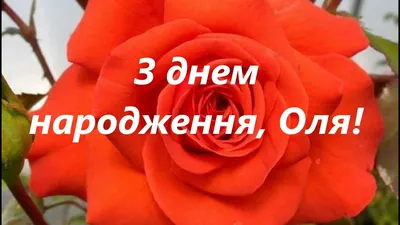 Привітання з днем народження Ользі - News-XL