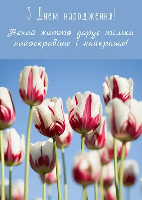 Картинки з Днем Народження Подрузі та Листівки