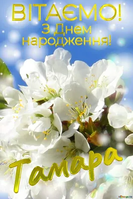 Pin by 🌸Tetiana K🌸 on «Имена Женщин» | Happy birthday wishes cake, Happy  birthday wishes, Birthday wishes