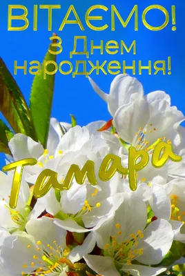 Тамара З Днем народження! Безкоштовна картинка - 4402