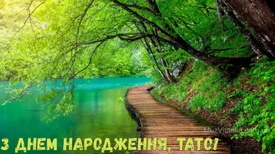 Привітання з Днем народження для тата ♥️ #папа #батько #тато #привітан... |  TikTok