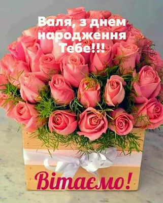 Валентина З Днем народження! Free Image - 4121