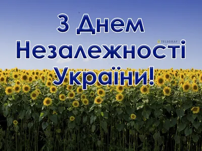 З Днем Незалежності України – привітання на 24 серпня і святкові листівки -  Телеграф