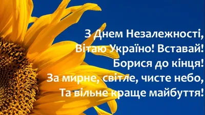 Поздравления с Днем Независимости Украины 2023 - картинки, открытки -  Lifestyle 24