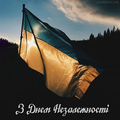 З Днем Незалежності України! | Львівська торгово-промислова палата