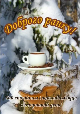 Зимовий ранок | Merry christmas and happy new year, Good morning, Happy new  year