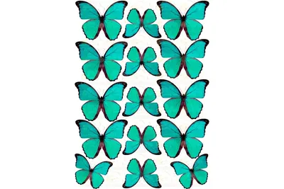 Вафельний декор метелики синіх кольорів