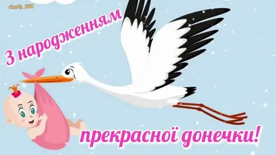 Привітання з днем народження онуки для бабусі короткі, своїми словами,  картинки - Телеграф