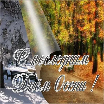 Яким буде останній день осені для всіх знаків зодіаку: гороскоп на 30  листопада - 