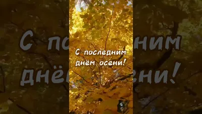 Привітання з Останнім днем літа — останній День літа 2022, вітання  картинки, листівки / NV