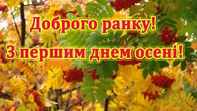 30 листопада - останній день осені - листівки та вірші - «ФАКТИ»