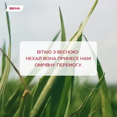 З першим днем весни: вітання, листівки та СМС (ФОТО) — Радіо ТРЕК