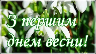 Поздравления с началом весны - смс в прозе и открытки с музыкой - Апостроф