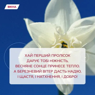 Привітання з першим днем весни - прикольні та смішні листівки на 1 березня  - Апостроф