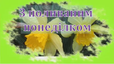 Доброго ранку понеділка - картинки, вірші, побажання та привітання ❀ ТОП  ПРИВІТАННЯ ❀