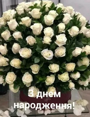 Pin by Оксана on з днем народження | Floral wreath, Floral, Rose
