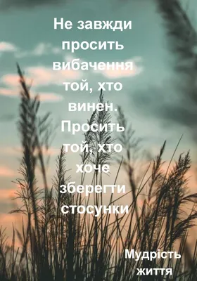 quote, quotes, цитаты, цитати, цитати українською, життя, зміст життя, сенс  життя, смысл жизни, жизнь, talents collectio… | Quotes, Ukrainian quote,  Meaning of life