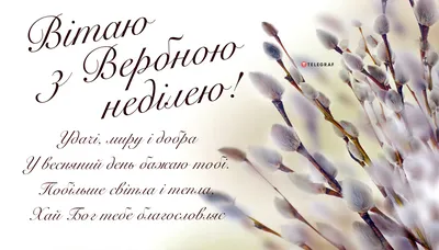 Вербна неділя 2023 — картинки й листівки до свята — красиві привітання та  СМС - Телеграф