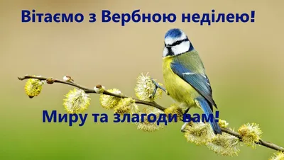 Картинки з Вербною неділею 2021: листівки з побажаннями – Люкс ФМ