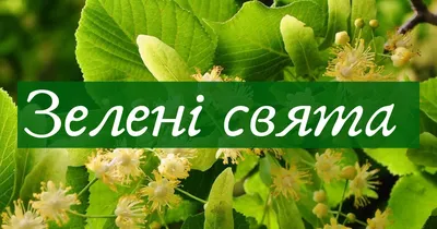 Трійця 2019: історія свята та його головні традиції - Дивись.info