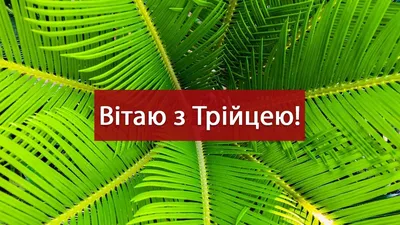 Трійця 2023: привітання з Зеленими святами в яскравих картинках. Читайте на  