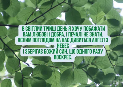 Поздравления с Троицей и Зелеными праздниками - картинки, открытки, стихи и  смс - Апостроф