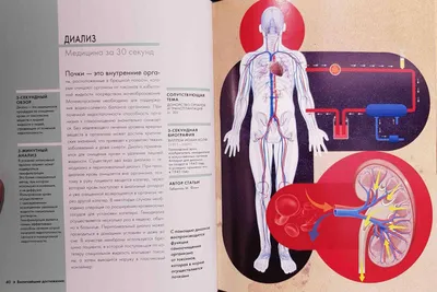 Религии за 30 секунд, Коллектив авторов – скачать pdf на ЛитРес