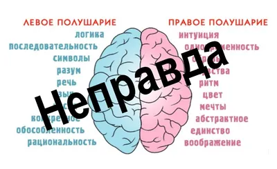 Правое и левое полушарие мозга НЕ отвечают за эмоции и логику. Что помогает  их развивать? и другие полезные материалы