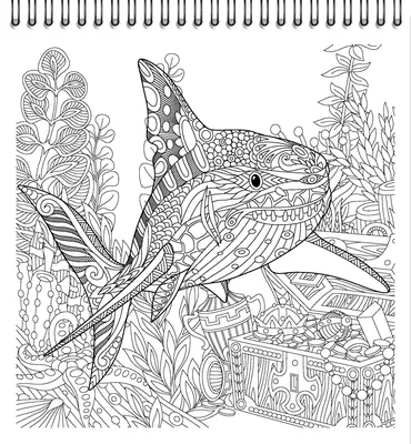 21+ Great Photo of Dinosaur Coloring Pages -  | Páginas  para colorir dinossauro, Páginas de colorir com animais, Fotos de  dinossauros