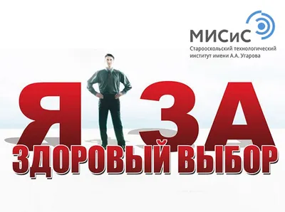 Молодежь СТИ НИТУ «МИСИС» – за здоровый образ жизни! - СТИ НИТУ "МИСИС"