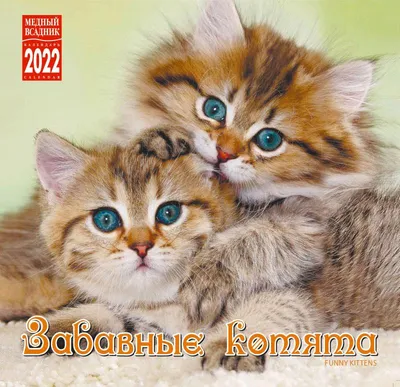 Календарь на 2022 год "Забавные котята" (КР10-22318) - книжная лавка